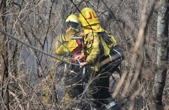 Provincias del NOA y Nación trabajan para fortalecer los sistemas de respuesta ante incendios forestales en la región