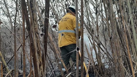 Intenso trabajo de la Brigada Forestal de Defensa Civil para la extinción de incendios de pastizales