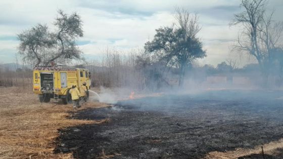 Continúa el intenso trabajo de la Brigada Forestal en la temporada de incendios forestales