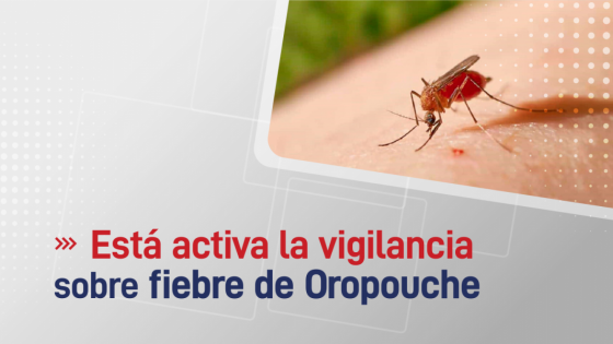 El Ministerio de Salud Pública activó la vigilancia sobre fiebre de Oropouche