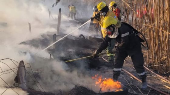 Amplio operativo integral para sofocar un incendio de pastizales en zona sudeste