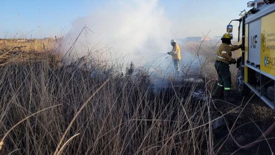 Defensa Civil advierte sobre el alto riesgo de incendios forestales en Salta