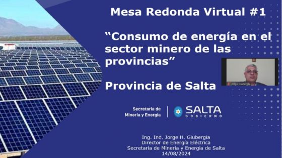 Salta participó en la Mesa Redonda Internacional sobre Consumo de Energía en el Sector Minero