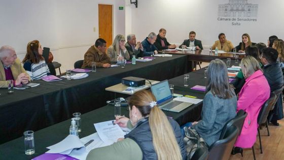 Senadoras y senadores se interiorizaron acerca del proyecto del Plan provincial por la Igualdad de Género