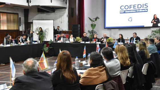 Salta presente en la 100° Asamblea del Consejo Federal de Discapacidad