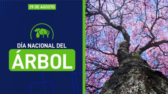 29 de agosto: Día Nacional del Árbol