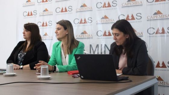 Salta profundiza el trabajo colaborativo para fomentar la participación de las mujeres en la actividad minera