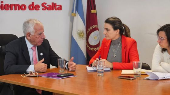 Acciones conjuntas  para  el desarrollo del Plan Provincial para la Igualdad de Género