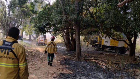 Intenso operativo para extinguir incendios forestales en el norte provincial