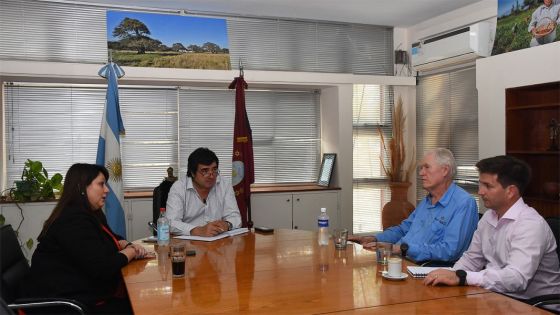 Avanza el análisis del proyecto de cobre Taca Taca