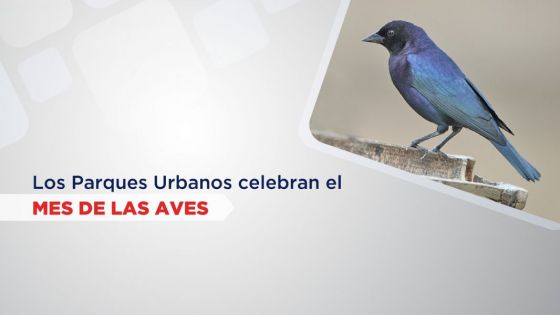 Los Parques Urbanos celebran el Mes de las Aves