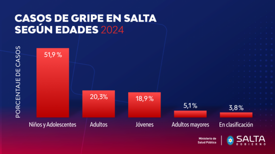 Los niños y adolescentes fueron los más afectados por la gripe en Salta