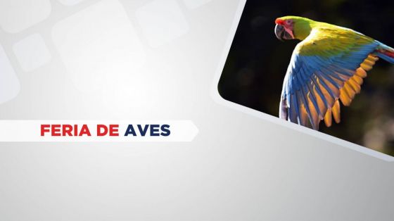 El Parque del Bicentenario celebrará hoy el Día de las Aves