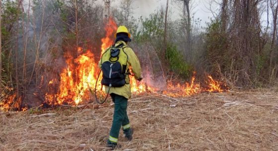 Intenso trabajo de lucha contra incendios forestales en Orán