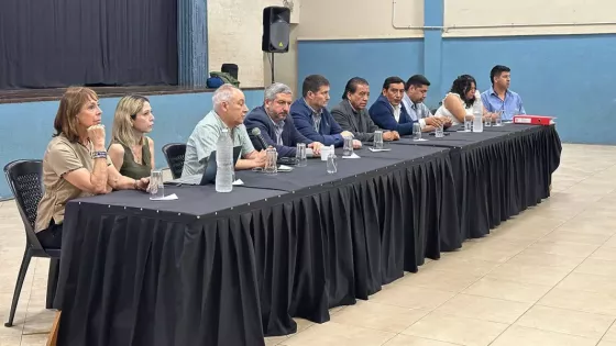 El Gobierno presentó el plan para la gestión del dengue a intendentes del sur provincial.