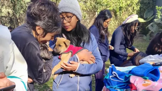 Estudiantes solidarios promueven el bienestar de los animales