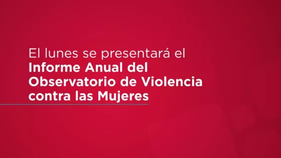 El lunes se presentará el Informe Anual del Observatorio de Violencia contra las Mujeres