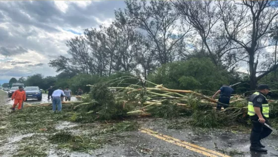 Seguridad brindó asistencia por el temporal en distintas localidades de Salta