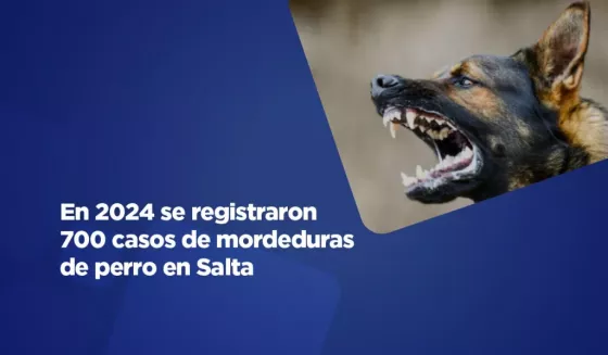 Se registraron más de 700 casos de mordeduras de perro en la provincia