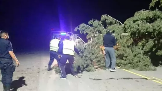 La Policía brindó asistencia a damnificados por el temporal en distintas localidades