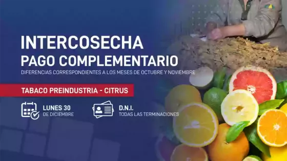 Intercosecha: Este lunes se deposita el pago complementario de octubre y noviembre