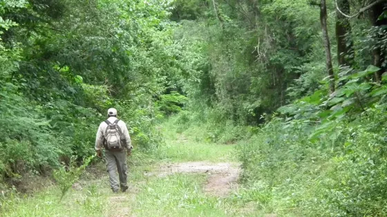 Se promulgó el nuevo Ordenamiento Territorial de Bosques Nativos