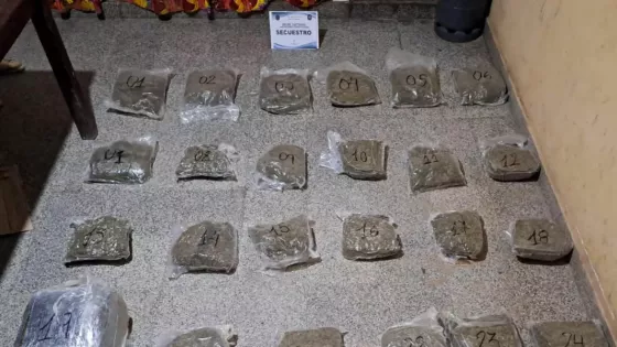 La Policía de Salta decomisó más de 32 kilos de marihuana en Morillo