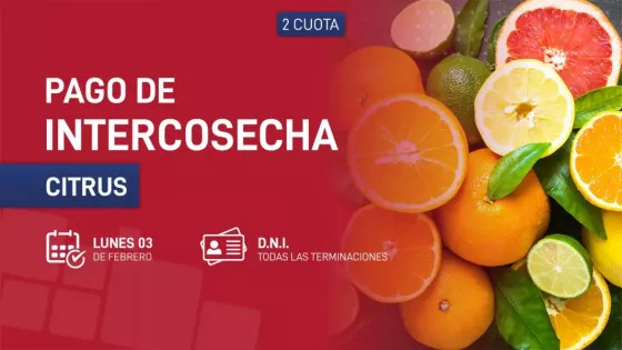 Hoy comenzó el pago del programa Intercosecha