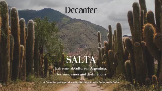 Los vinos de altura de Salta son puestos en valor por la famosa revista especializada Decanter